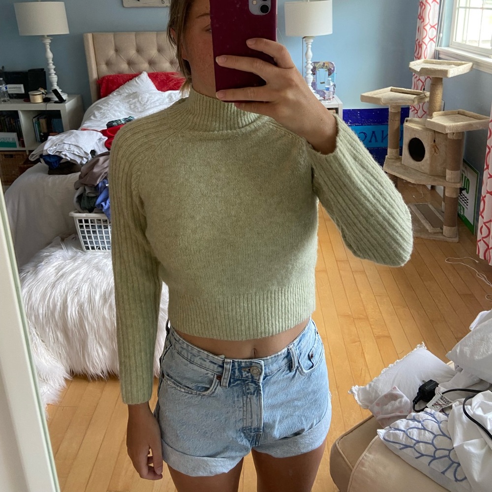 Zara knit cropped sweater